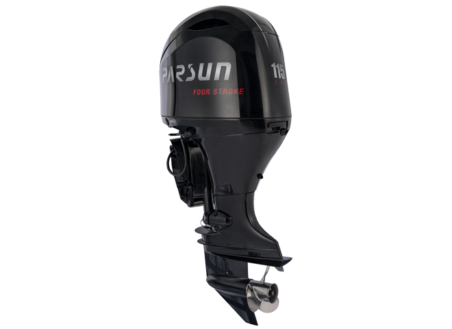 фото PARSUN F115FEL-T-EFI-L