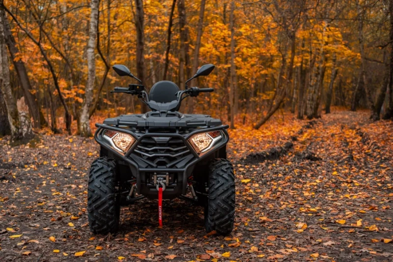 фото Квадроцикл Loncin XWolf 300 Max