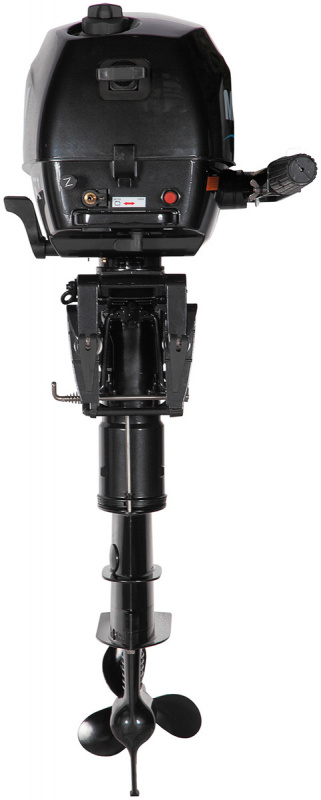фото Мотор MARLIN MF 5 AMHS