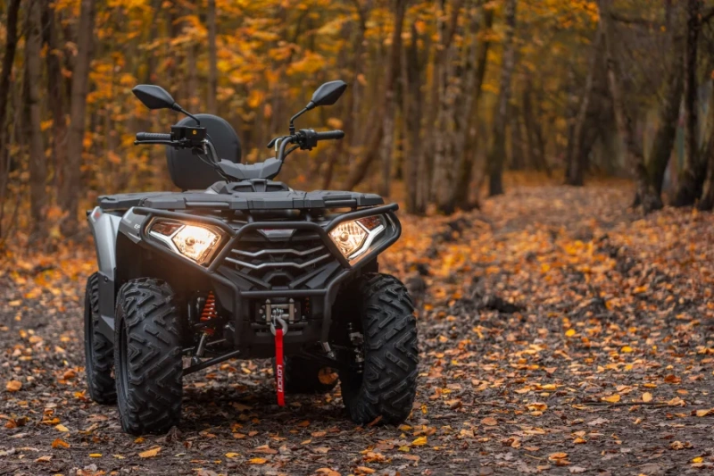 фото Квадроцикл Loncin XWolf 300 Max