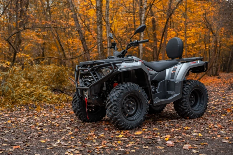 фото Квадроцикл Loncin XWolf 300 Max